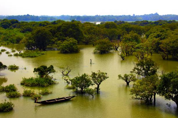 Sylhet 2026 Travel Guide: Best Places, Culture, and Attractions 5 Sylhet