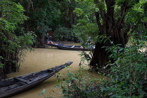 Sylhet 2026 Travel Guide: Best Places, Culture, and Attractions 3 Sylhet